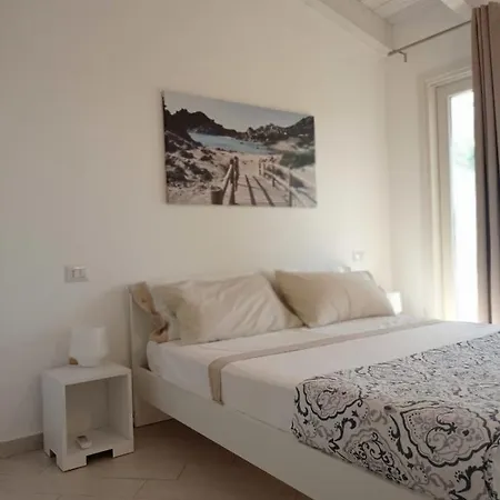 Tutyhome Viddalba