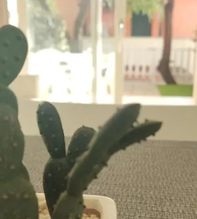 Prázdninový dům Tutyhome Viddalba